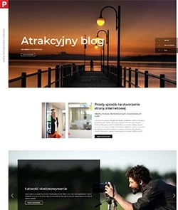 szablon PROFI:Agency
