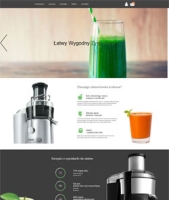 Szablon projektu Landing store