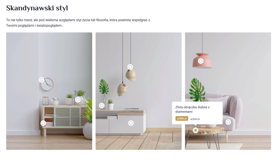 Orion Shop Orion Shop