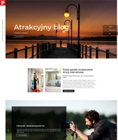 Szablon projektu PROFI:Agency