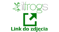 Link do zdjęcia