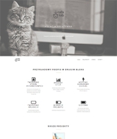 Szablon projektu Cat Landing